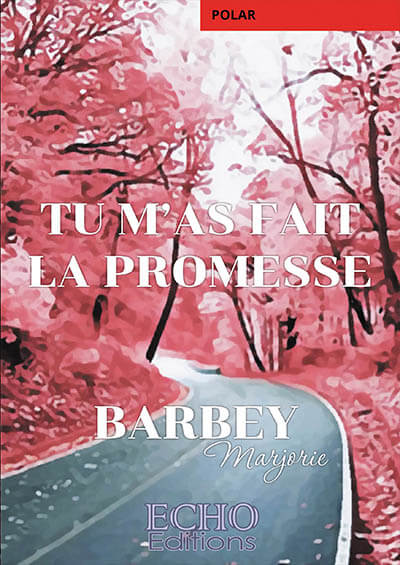 tu-mrsquoas-fait-la-promesse