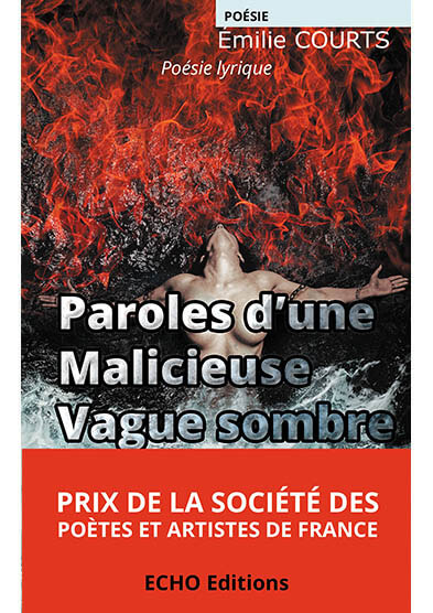 paroles-drsquoune-malicieuse-vague-sombre